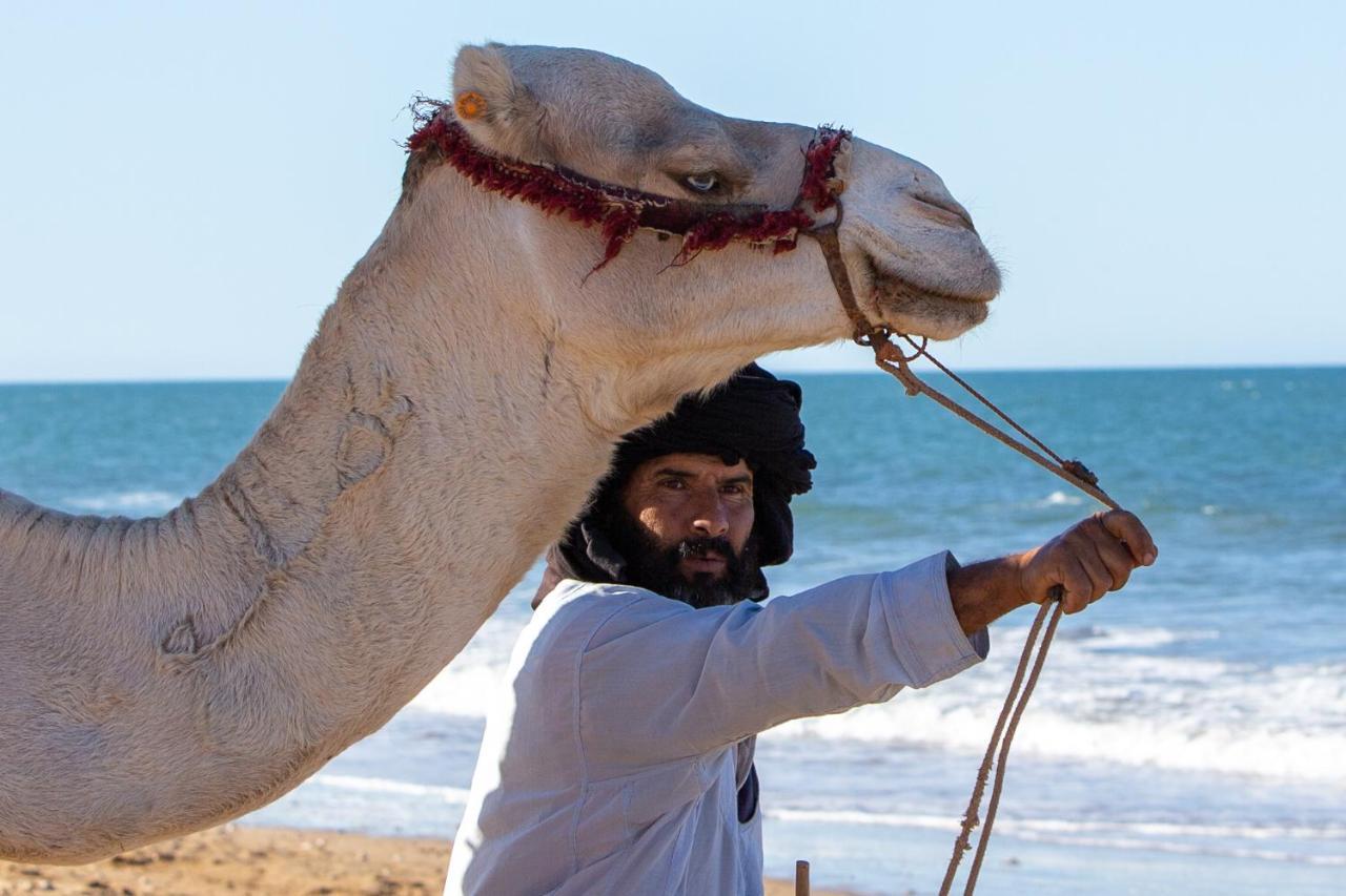 Sunshine Surf Morocco Bed and Breakfast Tamraght Εξωτερικό φωτογραφία